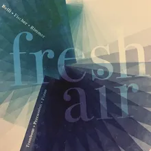 Five Songs from 43 Songs for Voice and Piano (Arr. for Trombone, Piano and Percussion by Frederic Belli, Nicholas Rimmer and Johannes Fischer): II. Il pleure dans mon coeur