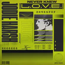 Never Knew (L.O.V.E)