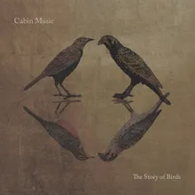 The Story of Birds