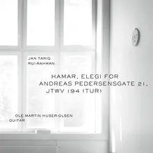 Hamar, Elegi for Andreas Pedersensgate 21, JTWV 194