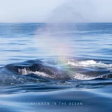 Rainbow in the Ocean