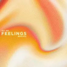 Feelings