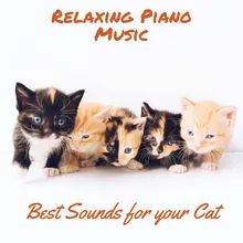 Calming Music for Your Cat