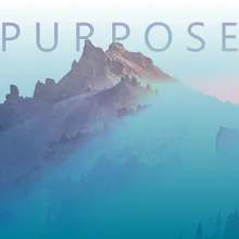 Purpose