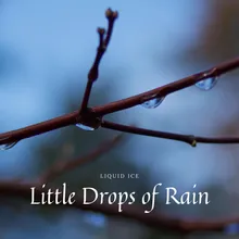 Little Drops of Rain