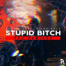 Stupid Bitch