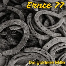 Die goldene Mitte