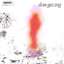 Slow Gazing