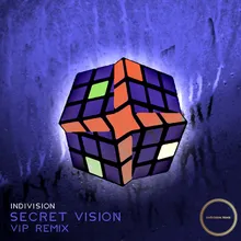 Secret Vision