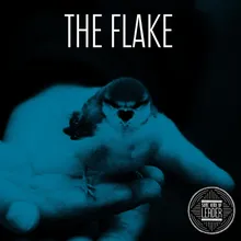 The Flake