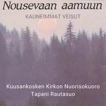 Saviruukku