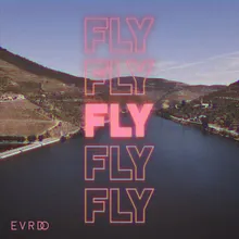 Fly