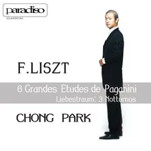 6 Grandes Etudes de Paganini in G Minor, S. 141: I. Preludio