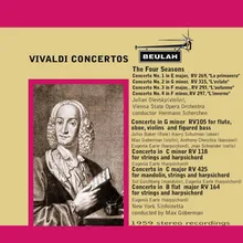 Concerto in G Minor, RV 105 for Flute, Oboe, Violins and Bass: I. Allegro