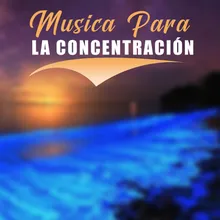 Consentracion Para Leer