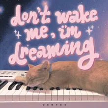 Don't Wake Me, I'm Dreaming