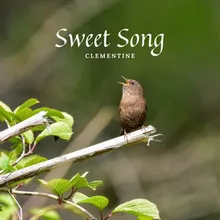Sweet Song