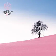 Piano 001 : The Ambient Zone (Continuous Mix)