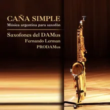 Guillermo Zalcman, Cuarteto Nro 3 para Saxos "Sobre Ritmos Folklóricos Argentinos": III. Aire andino