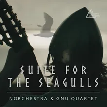 IV - Nineteen Seagulls