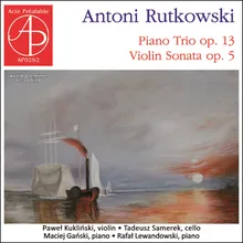 Violin Sonata in C Minor, Op. 5: I. Allegro molto