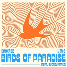 Birds of Paradise