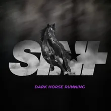 Dark Horse Running