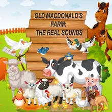 Old Mcdonald Had a Farm