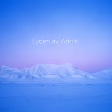 Lyden av Arktis: III. Himmelflokk og flukt