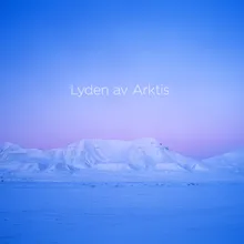 Lyden av Arktis: IVb. Minnemøter II