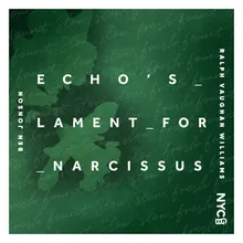 Echo's Lament for Narcissus