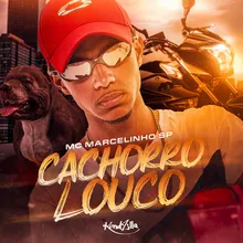 Cachorro Louco