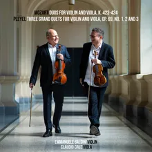 Three Grand Duets for Violin and Viola, Op. 69, No. 2: II. Tema-Variazioni-Andantino