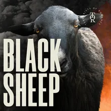 Black Sheep