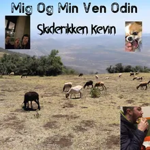 Min Ven Odin