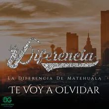 Te Voy a Olvidar