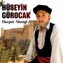 Havuz Başının Gülleri