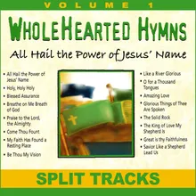 All Hail the Power of Jesus Name Split Track