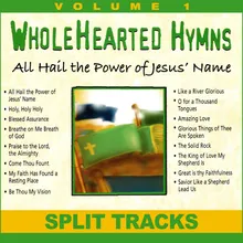 Praise the Lord the Almighty Split Track