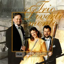 Trio Concertant No. 1, G Major: I. Allegro