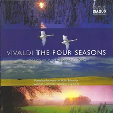 The Four Seasons, Violin Concerto in G Minor, RV 315 "Summer": I. Allegro non molto