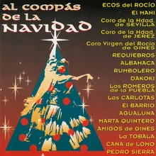 Llego la Navidad