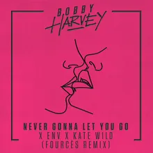 Never Gonna Let You Go Fourcès Remix