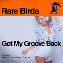 Got My Groove Back Monsieur Zonzon Shake It Down Mix