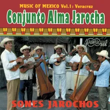 El Torito Jarocho