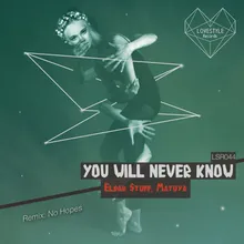 You Will Never Know-No Hopes Remix