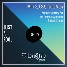 Just a Fool-The Distance & Riddick Remix