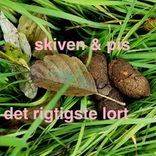 Det rigtigste lort