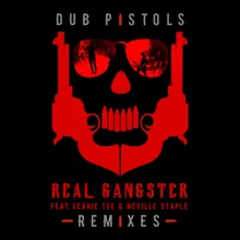 Real Gangster-Father Funk Remix