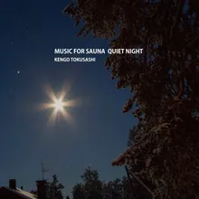 Music for Sauna Quiet Night : Section 07